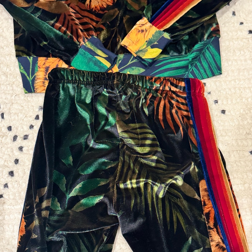 Aviator Nation Green Velvet Tiger-Print Jogger Set - Picture 5 of 15